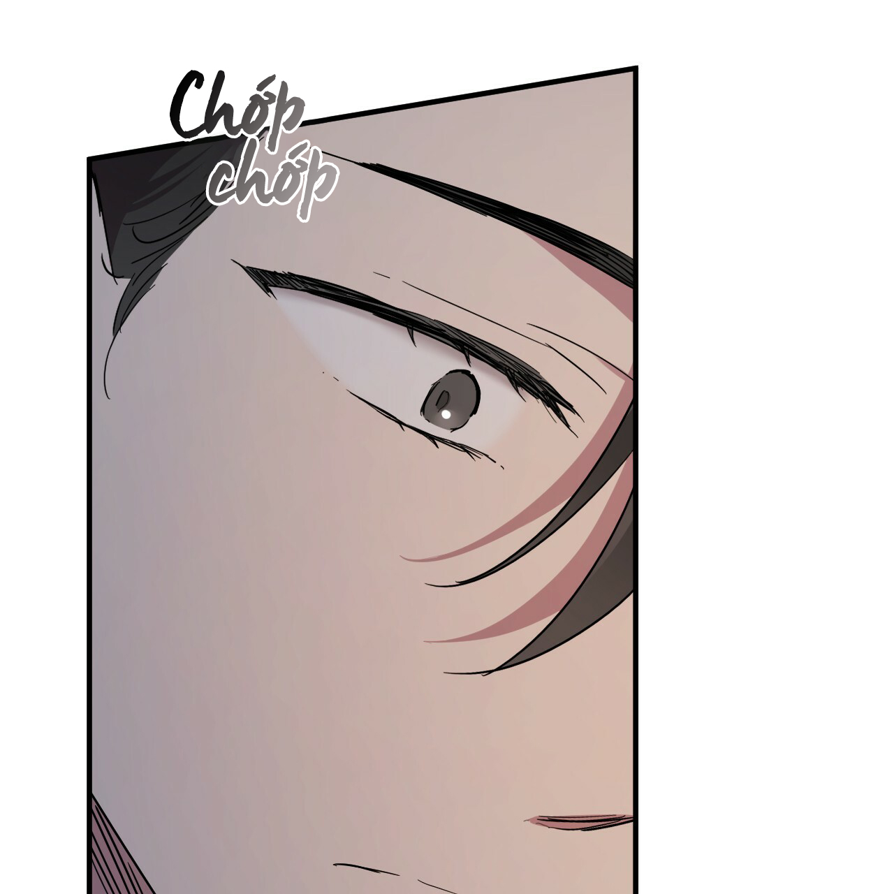 những chú thỏ của hapypy chapter 15 4