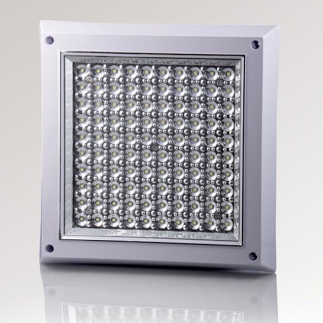 Đèn led hạt ốp trần