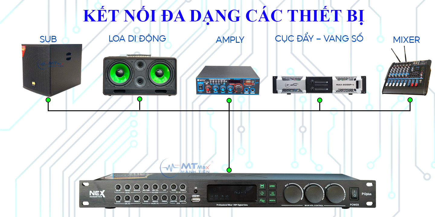 Vang Cơ Lai Số Nex P12Pus - Vang Cao Cấp Giá Rẻ, Tặng Cặp Dây Canon Ra Hoa Sen, Chống Hú Vượt Trội, Âm Thanh Trong Trẻo, Bảo Hành 6 Tháng. hàng chính hãng