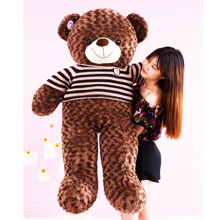 Gấu bông Teddy khổ vải 1m2