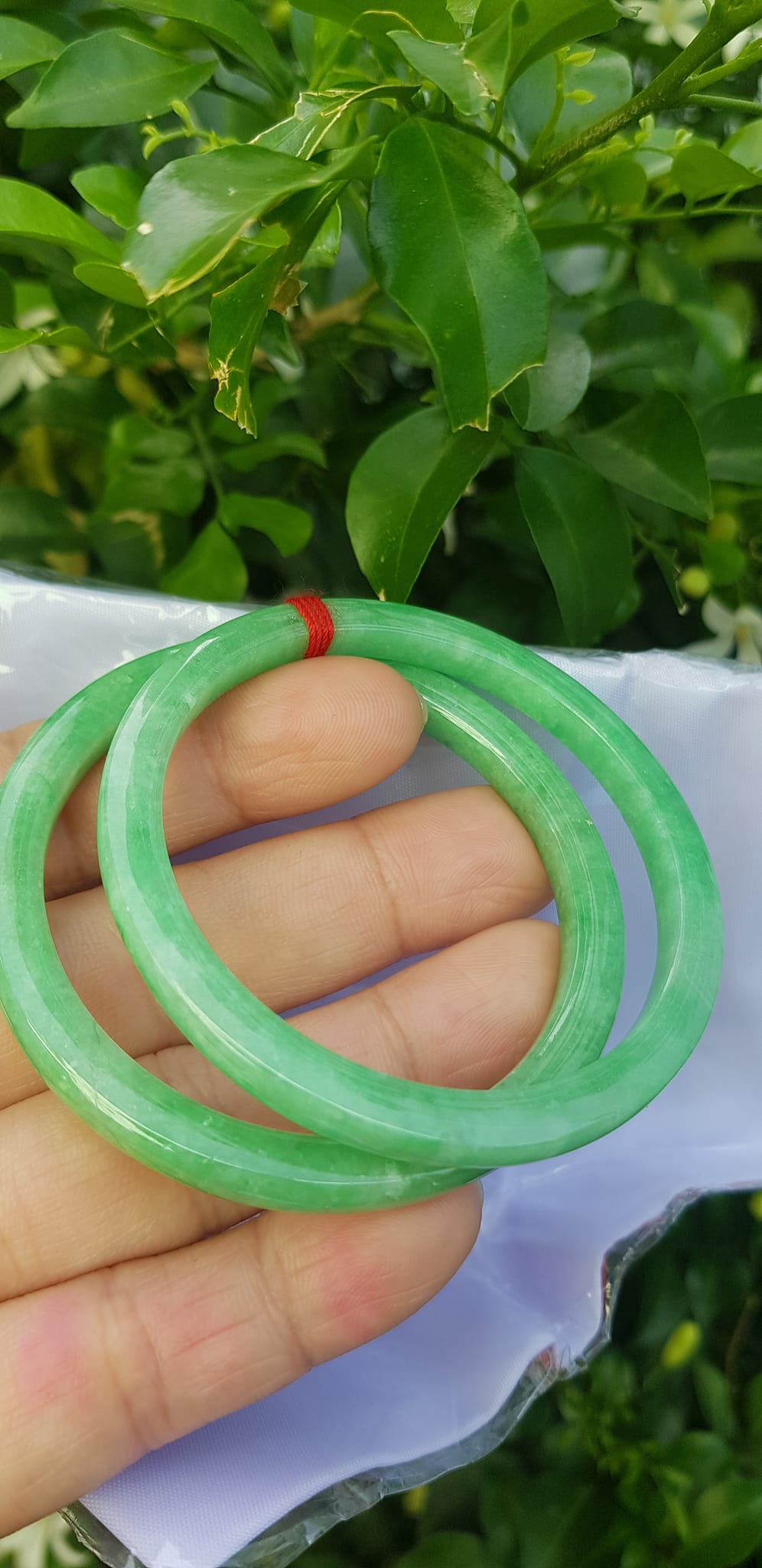 ️Cặp vòng tay đá ngọc cẩm thạch bản vuông V Đậu 50mm Size vòng 50mm x dầy 5mm x bản mỏng cao 5mm màu xanh lá ngọc đậu đều bóng đẹp Nữ Mệnh Mộc Hoả Thủy 49kg - 53kg đeo ạ