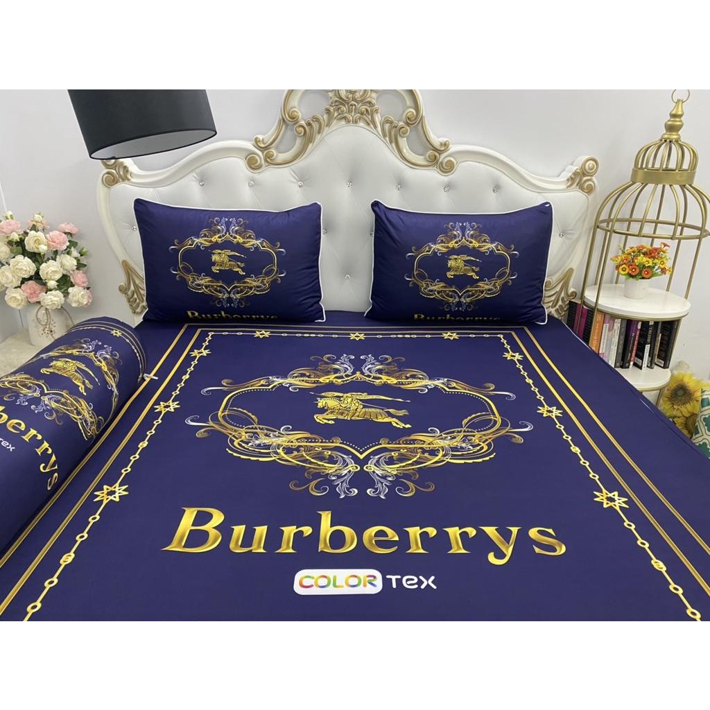 Bộ Drap gối thun Ý 5D Cao Cấp , mát lạnh, thấm hút tốt