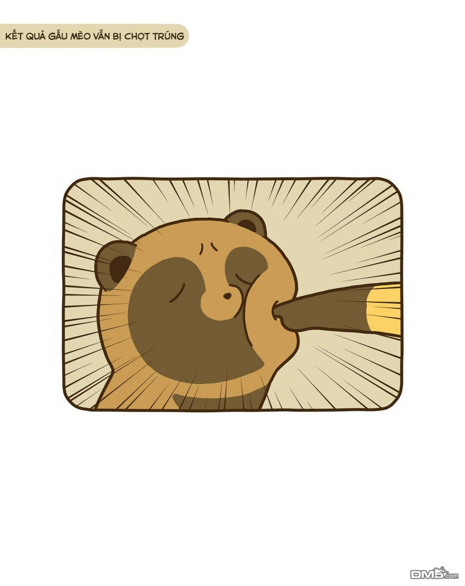 cáo và gấu mèo chapter 9 16