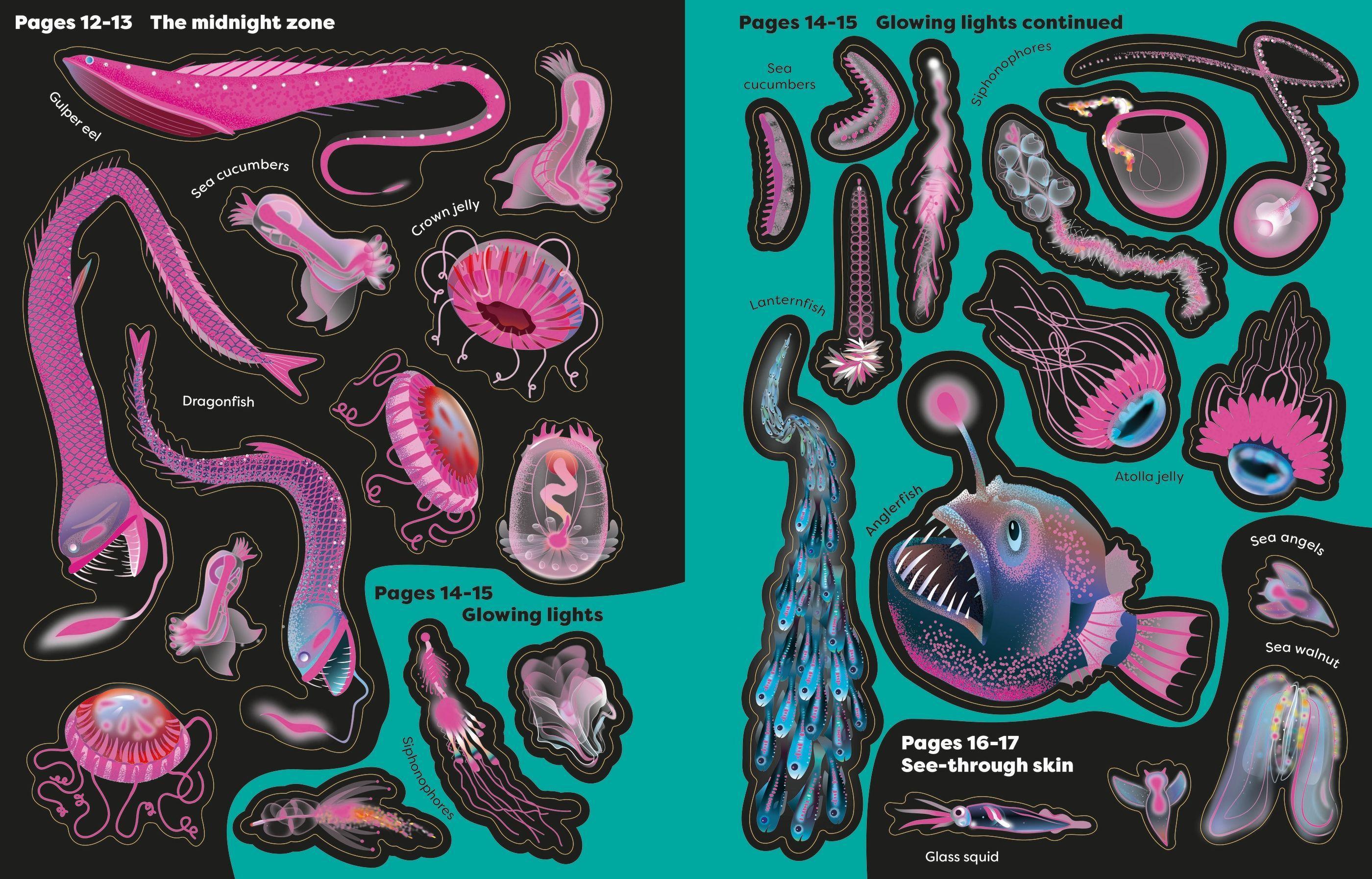 Sách ngoại văn: Big Sticker Book Weird Deep Sea Creatures