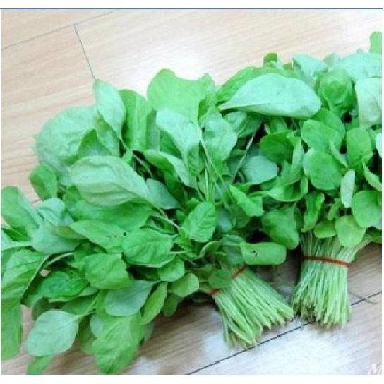 50Gr Hạt Giống Rau Dền Xanh Lá Tròn NGON NGỌT MỀM