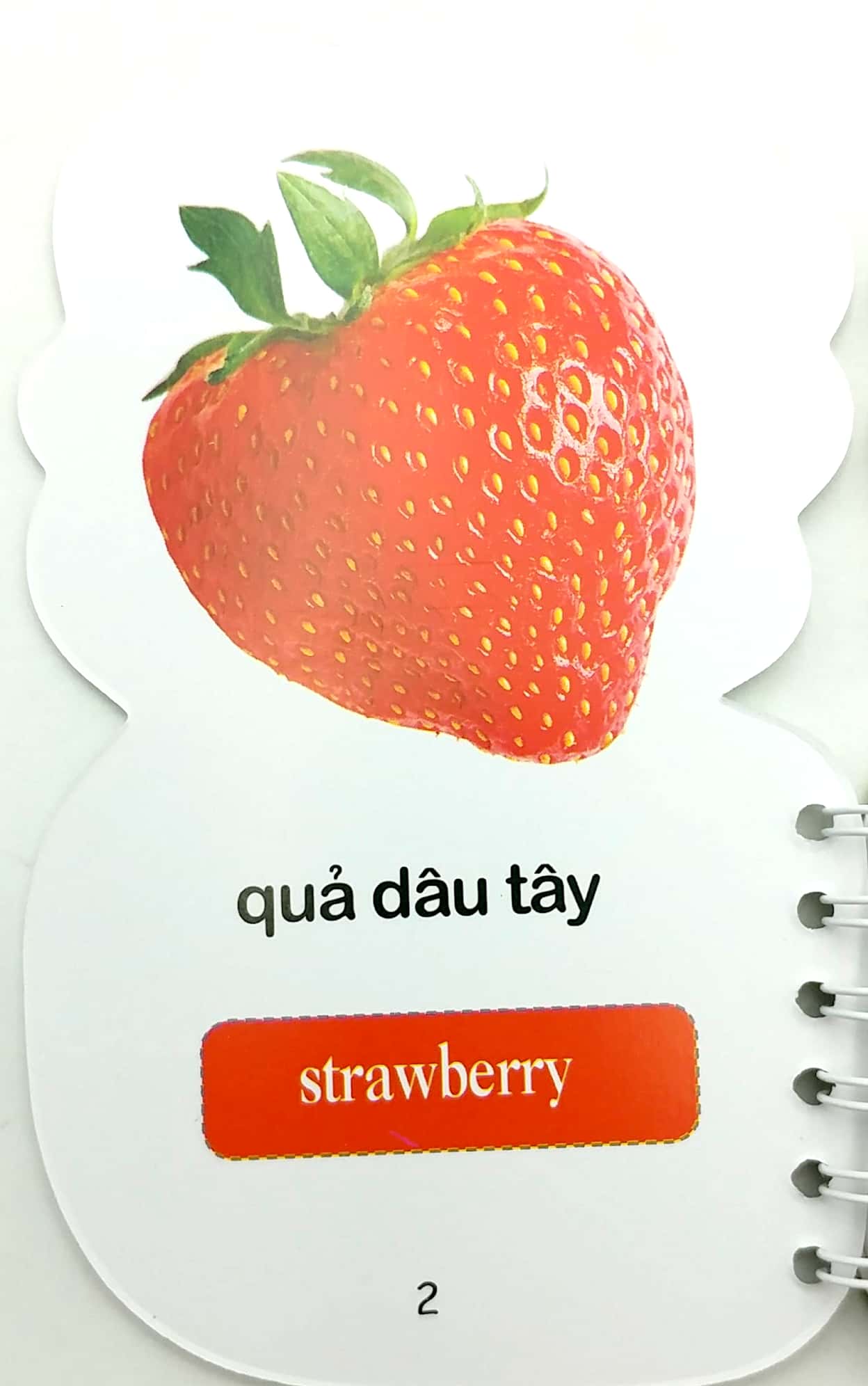Bộ Sách Học Từ Theo Chủ Đề - Rau Quả