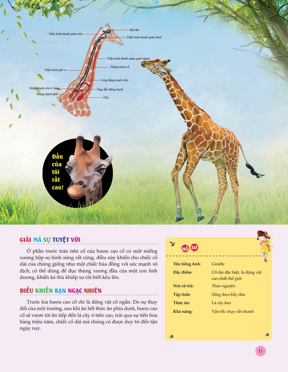 Bách Khoa Toàn Thư Tìm Hiểu Về Trái Đất - Thế Giới Động Vật (Tái Bản 2023)