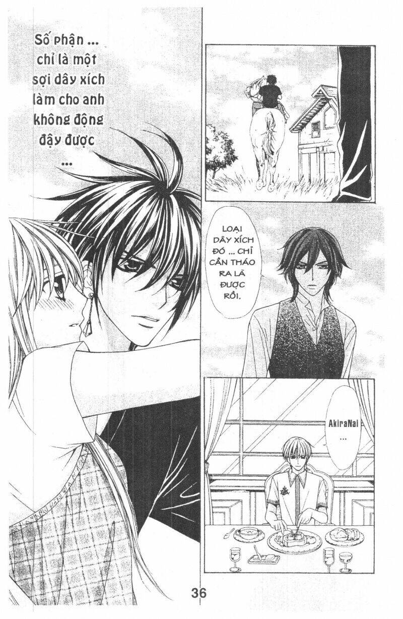 trái tim kim cương chapter 3 36