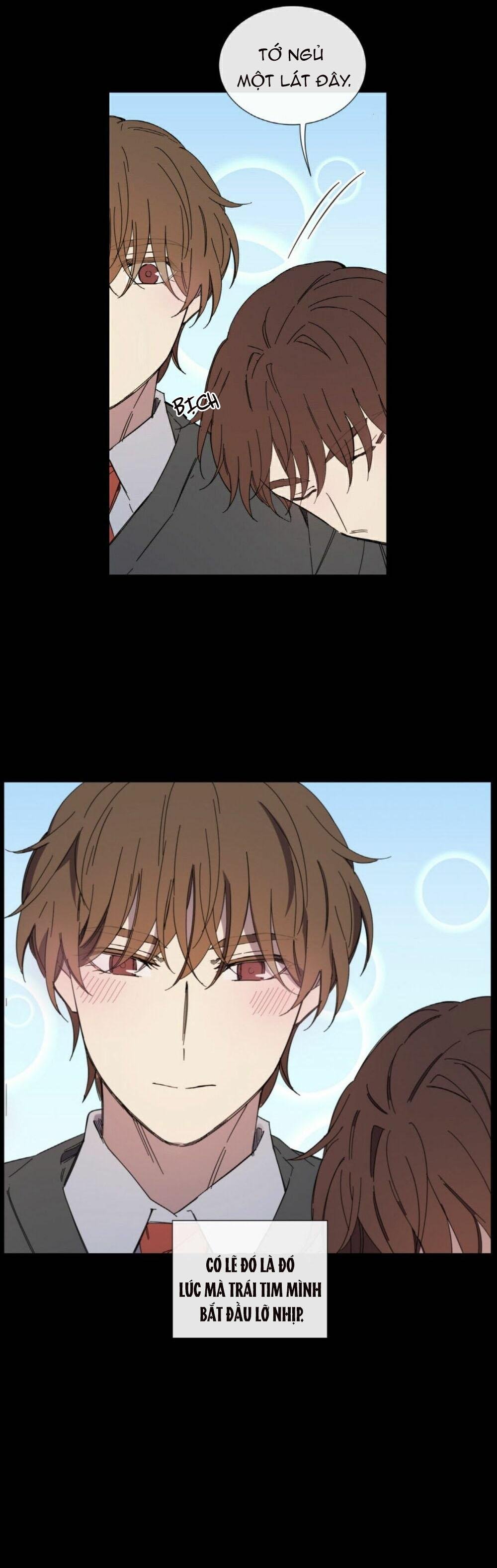 mr. miss chapter 19 9