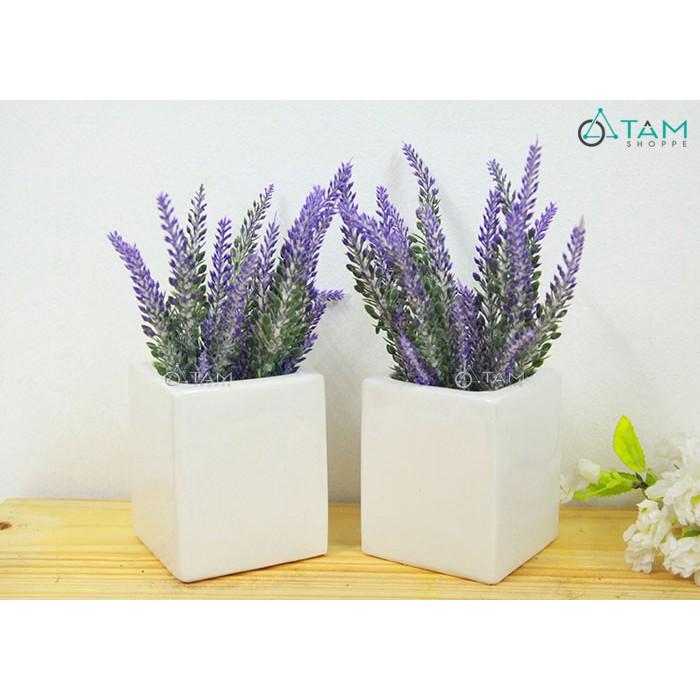 Chậu gốm trồng cây vuông trắng số 70