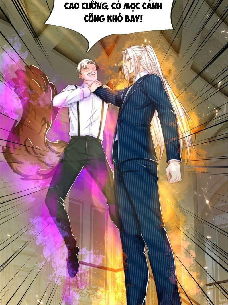 vú em tiên tôn đi ở rể chapter 189 3