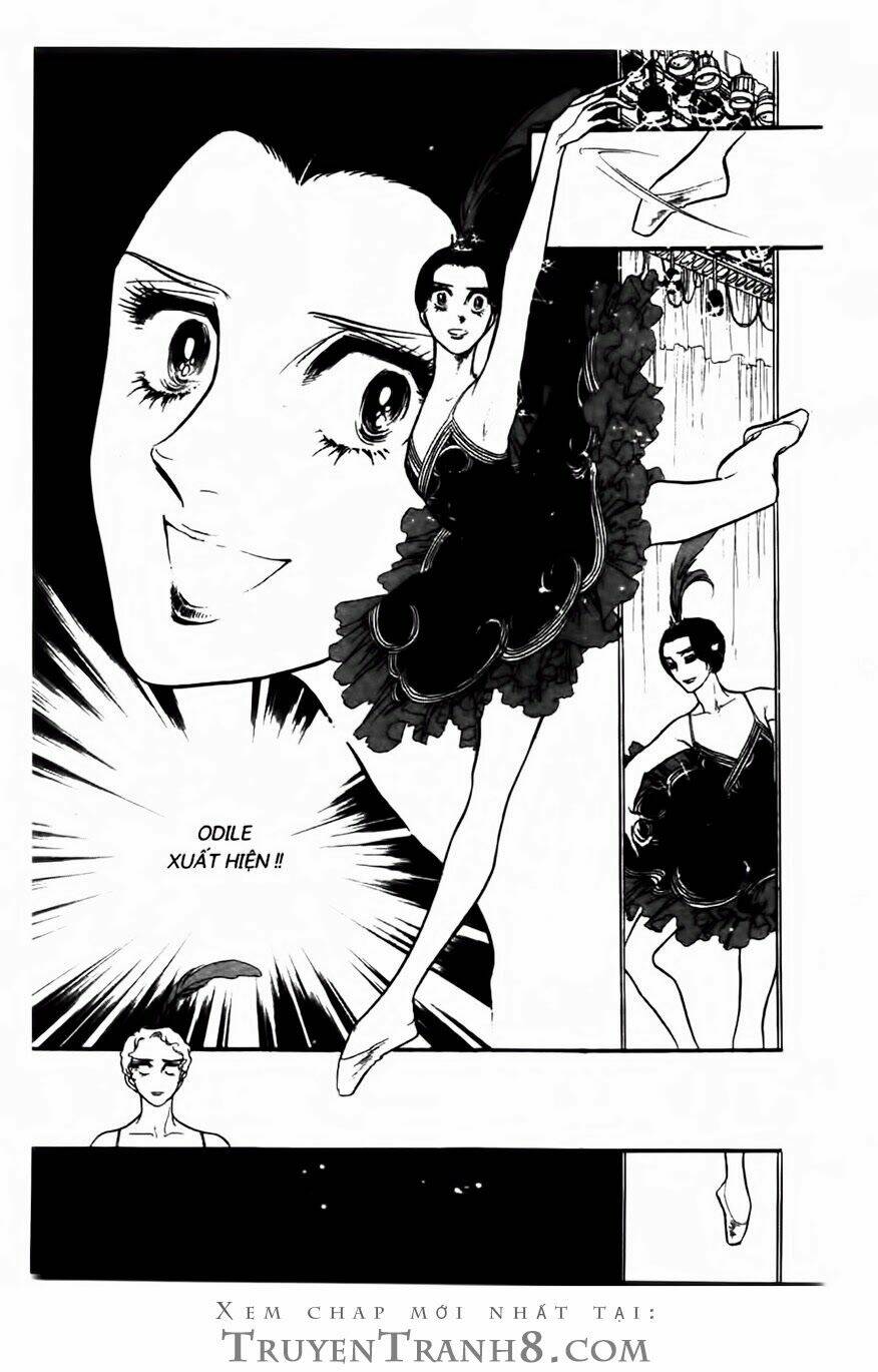 swan - vũ khúc thiên nga chapter 97 10