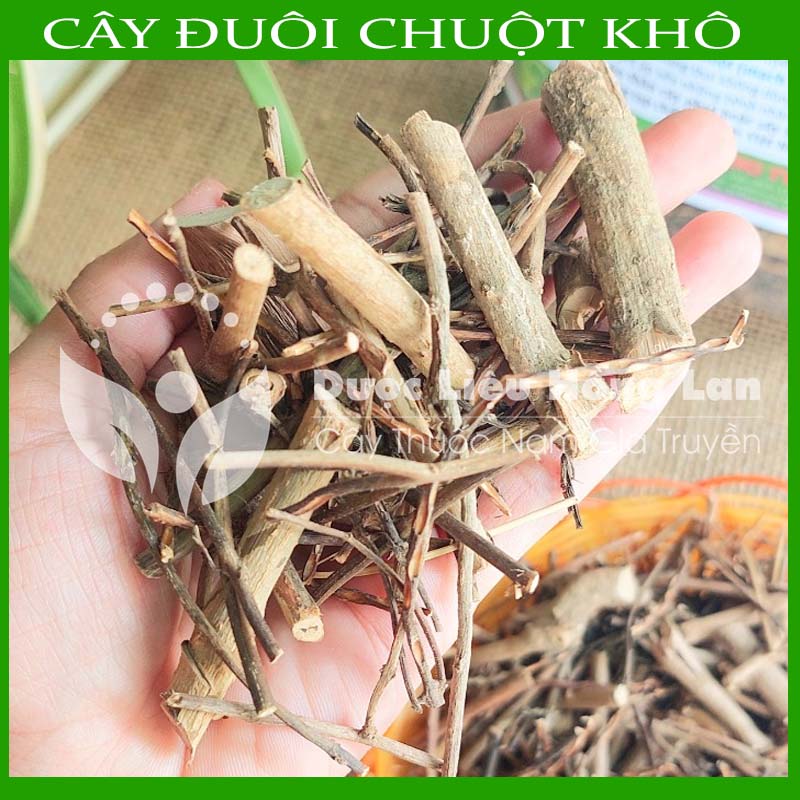 Cây Đuôi Chuột khô đóng gói 500gram