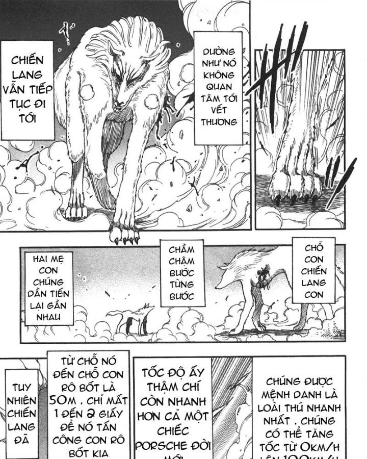 thánh tỏi sành ăn chapter 26 14