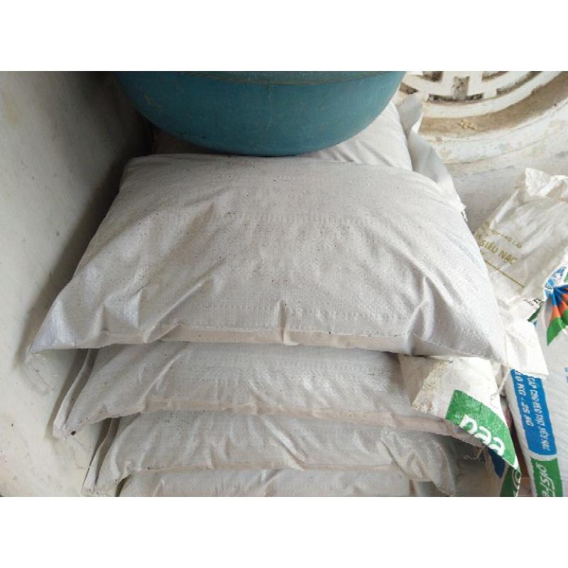 Ngô Hạt sạch 1kg- Nguyên hạt- Thức ăn cho gà, vịt, chim, lợn,...