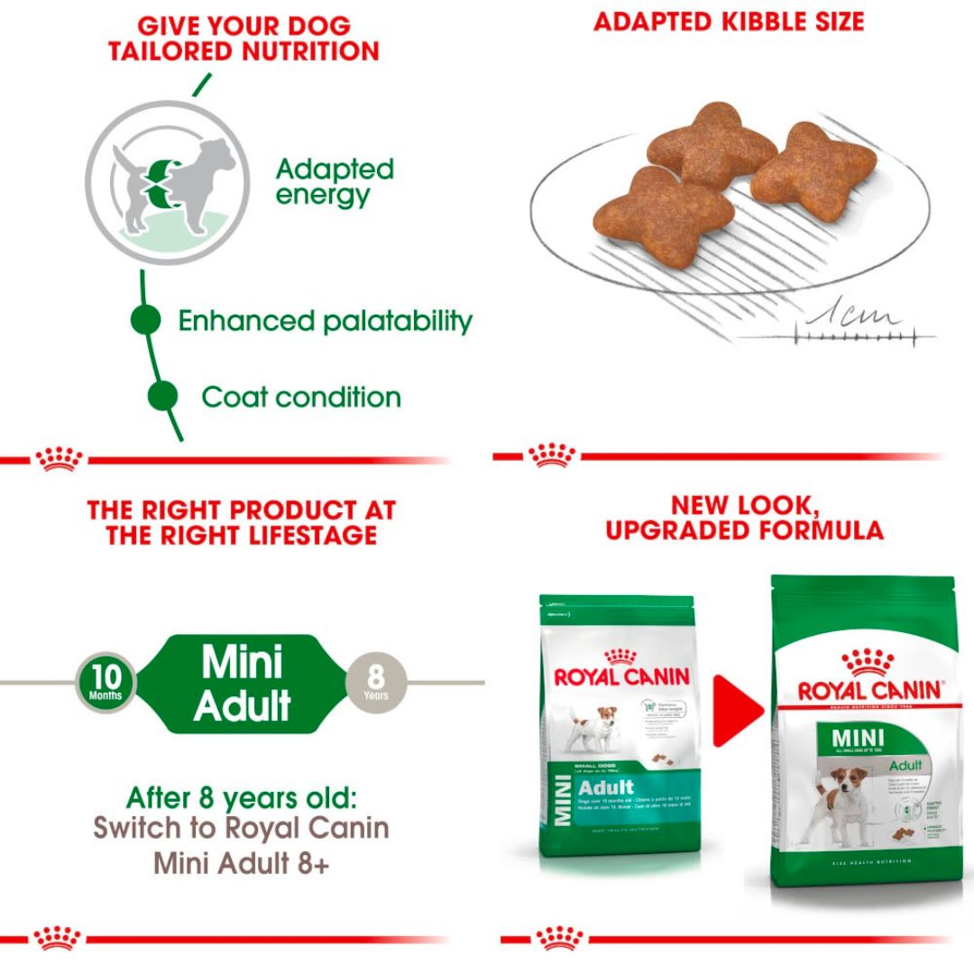 Thức Ăn Hạt Cho Chó Trưởng Thành Royal Canin Mini Adult - Bao 8Kg