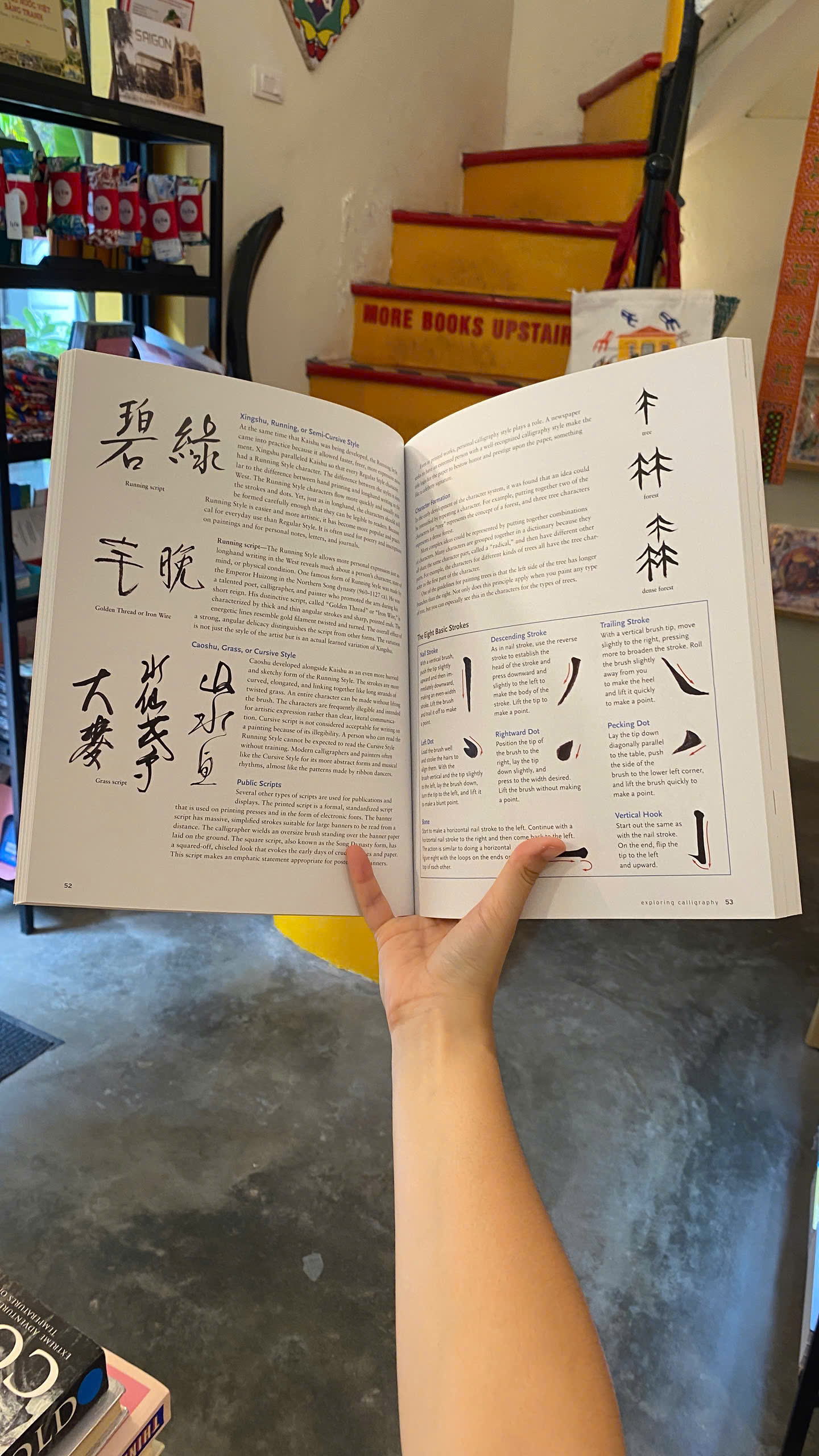 Sách - A Complete Guide to Chinese Brush Painting | Art & Design / Ngoại văn Nhập khẩu / Dạy vẽ