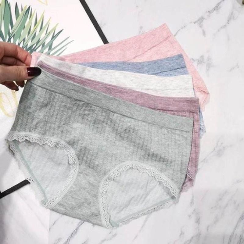 Chuyên sỉ lẻ hộp 10 Quần cotton 365 Dệt Kim