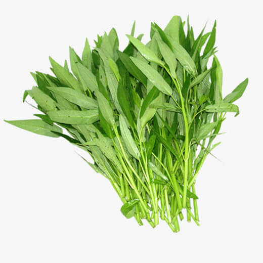 Hạt giống Rau Mầm Rau Muống Dễ Trồng Dễ Chăm Sóc, Công Dụng Thanh Nhiệt Rất Tốt Cho Sức Khỏe - Nông Sản Vàng