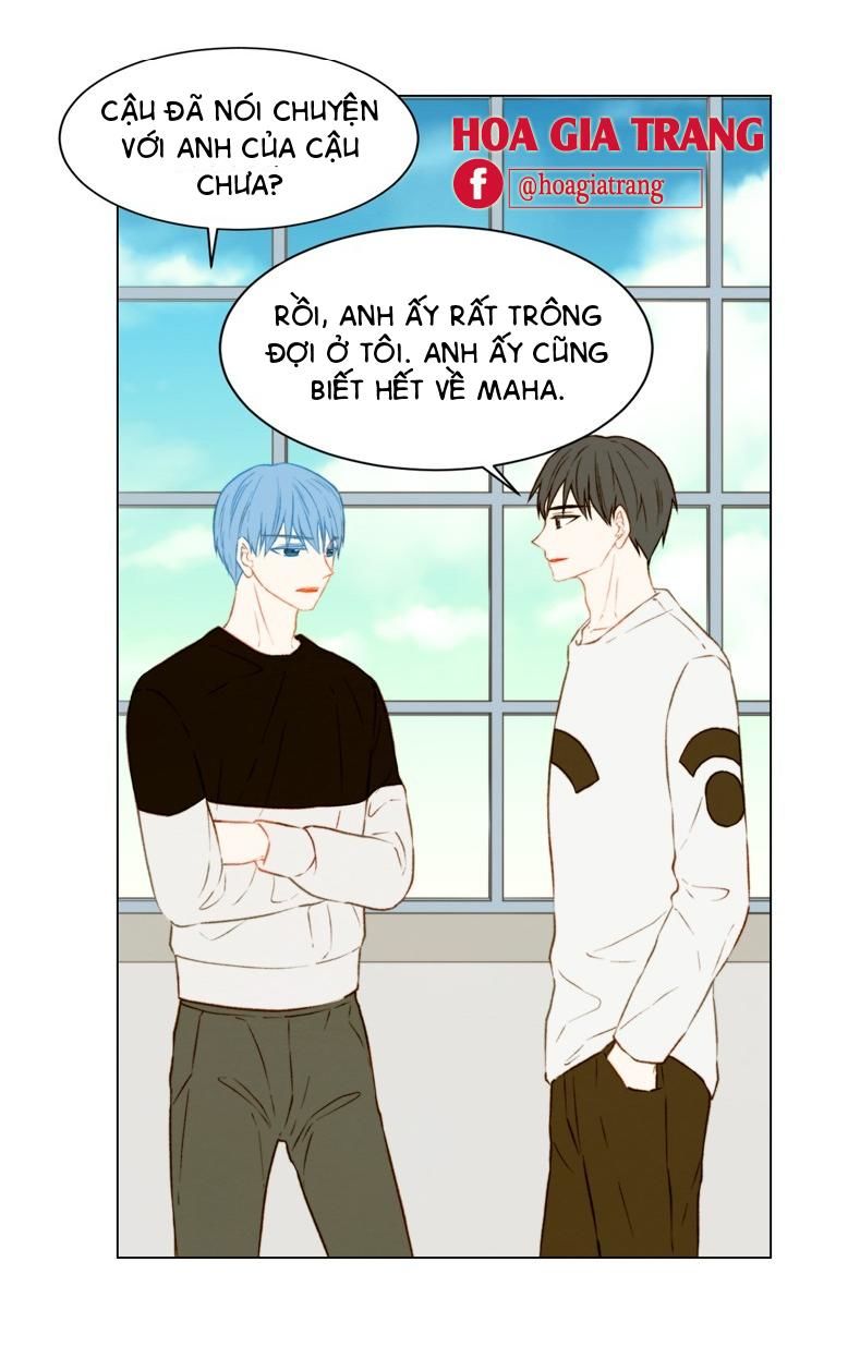 sao chép chapter 63 15