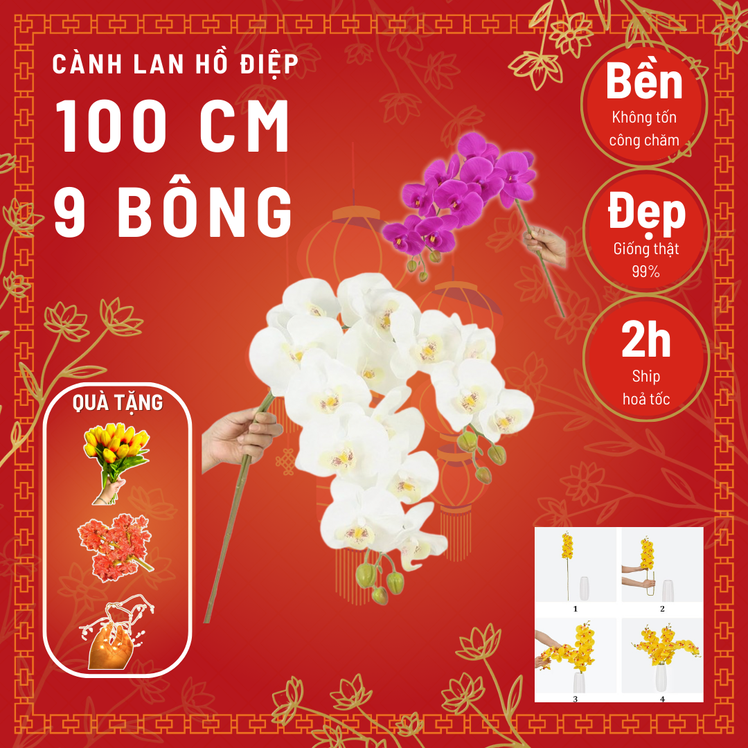 Combo 80 cành lan hồ điệp cao su cao cấp