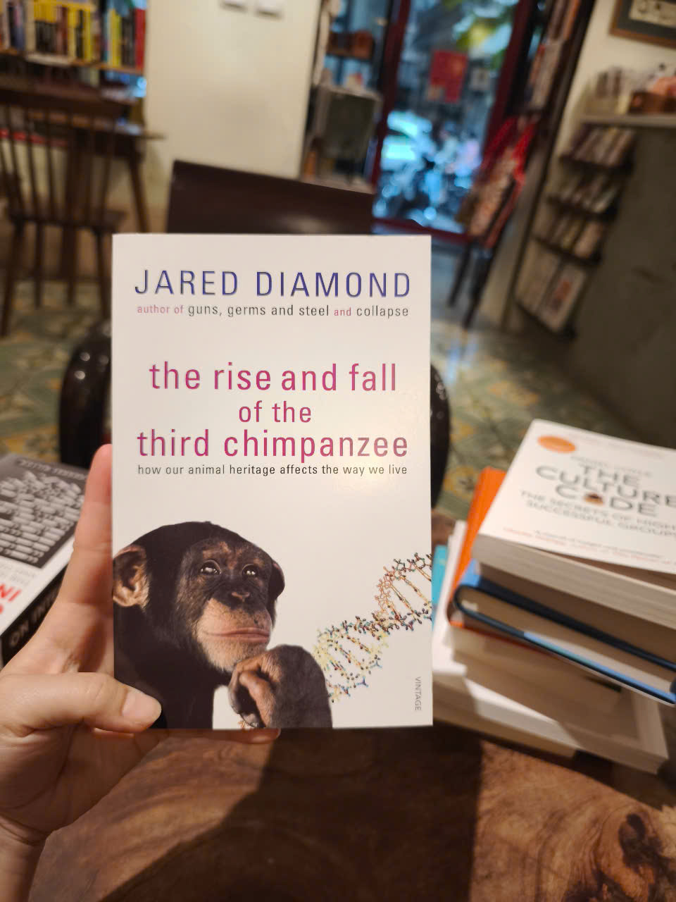 Sách - The Rise and Fall of the Third Chimpanzee by Jared Diamond - Science/ Nonfiction in English