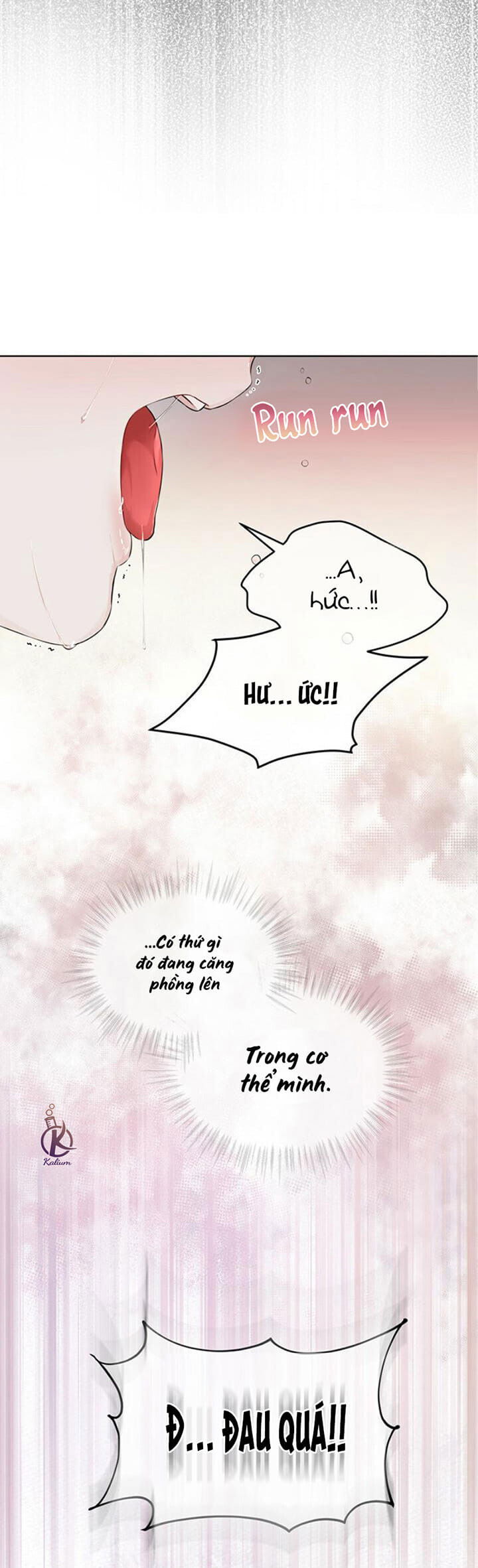 hình thái khởi sinh chapter 28 17