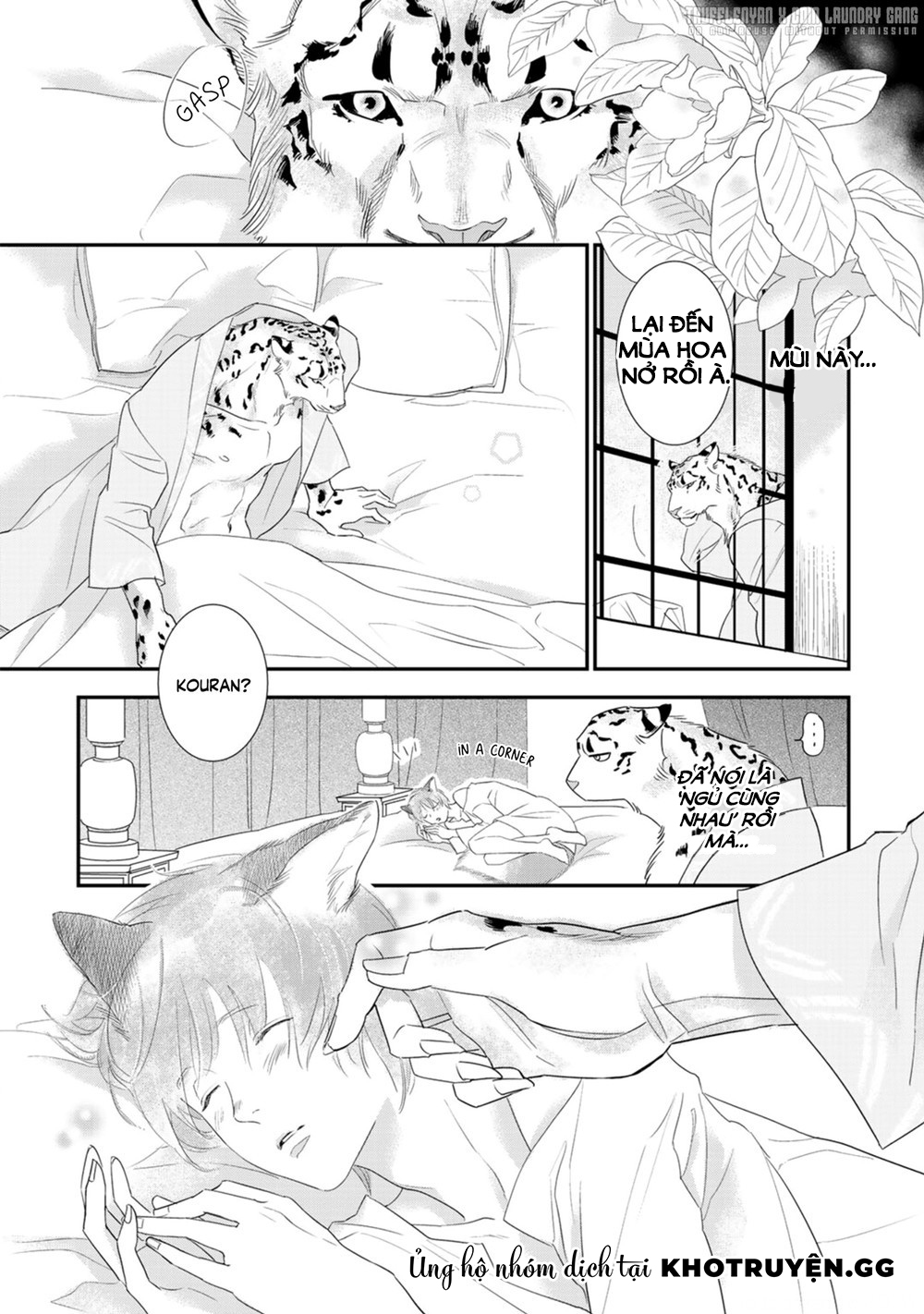 cô dâu cáo sa mạc của quý ngài thú vương chapter 3 7