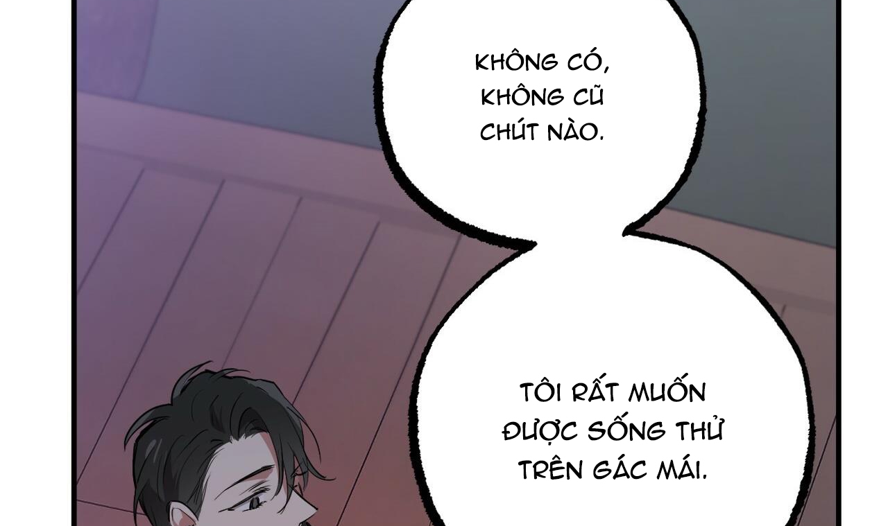 đàn thỏ của habibi chapter 37 221