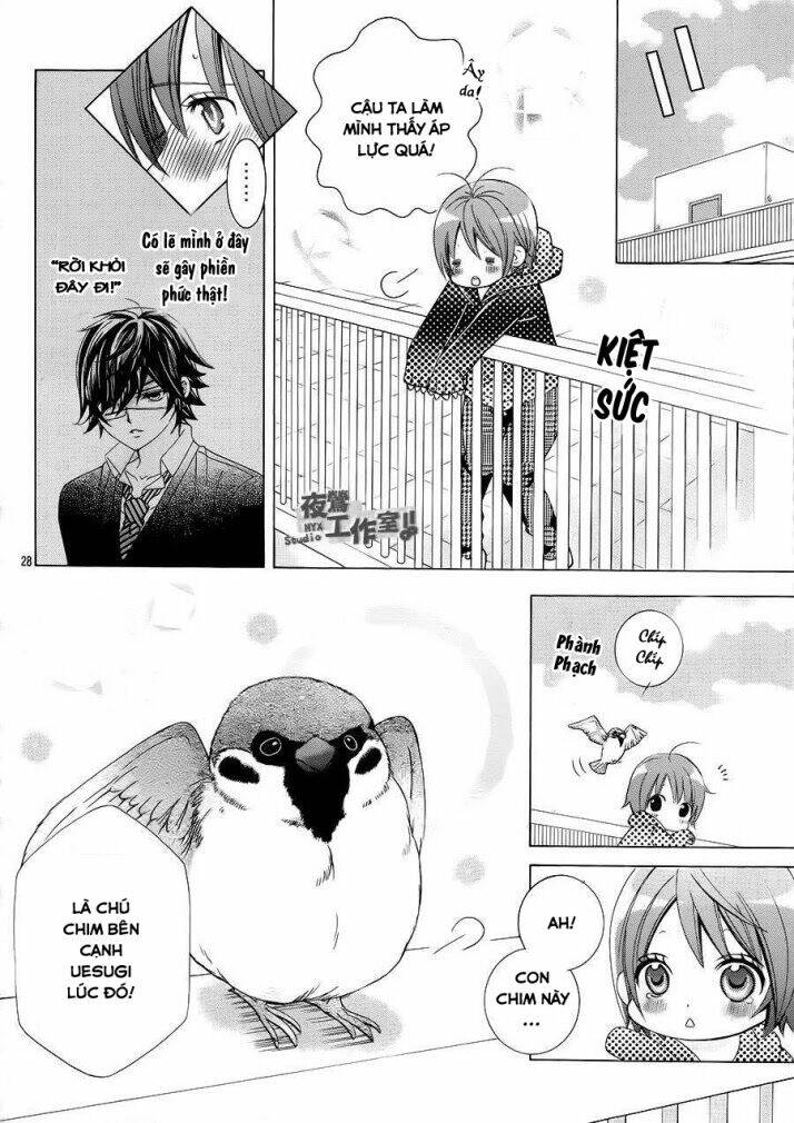 cuộc gặp gỡ diệu kỳ chapter 31 27