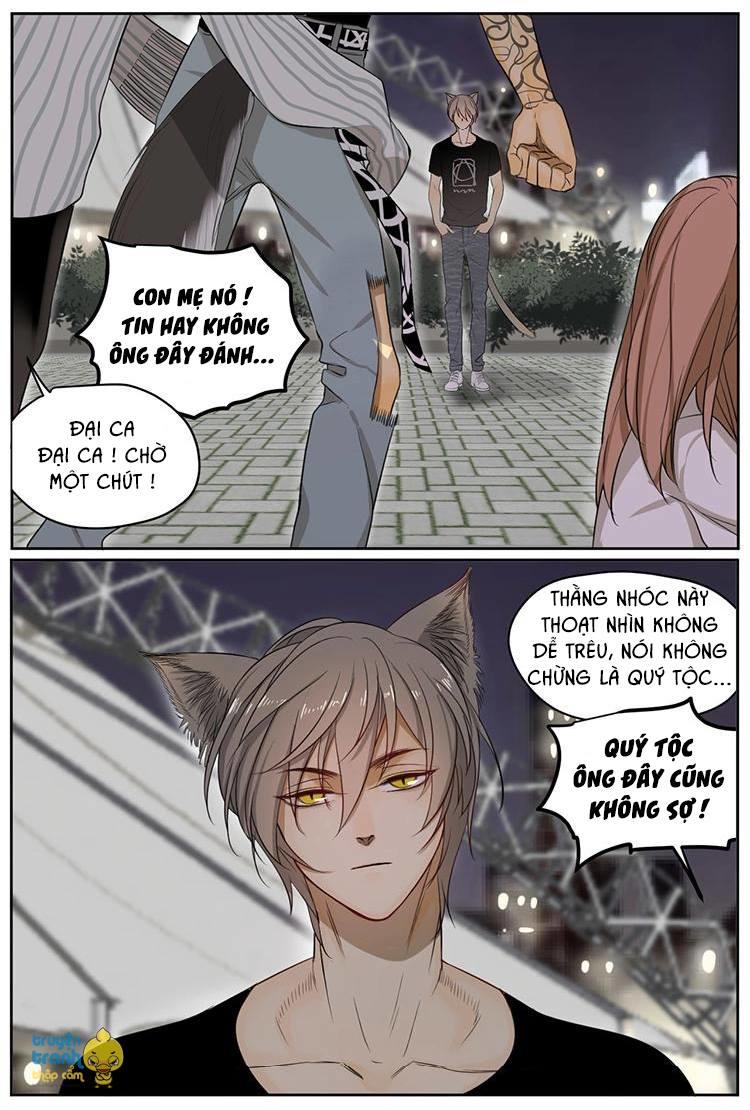 cứu mạng ! loài mèo thống trị thế giới rồi ! chapter 6 10