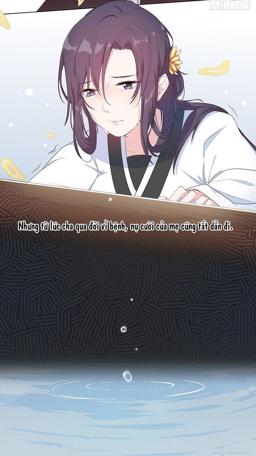 lầu trà thủy sinh mộng chapter 29 6