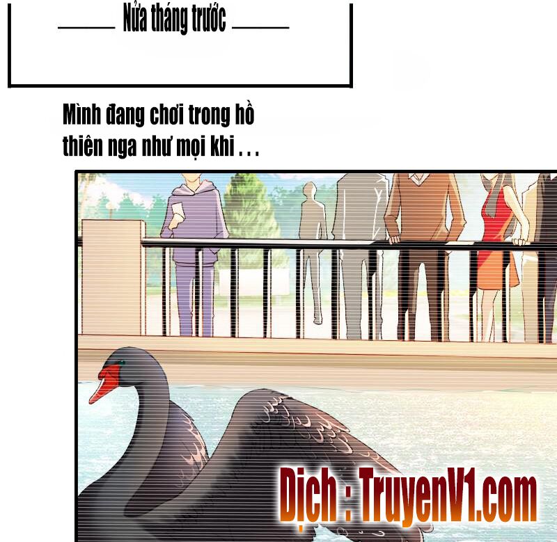 bay qua thiên sơn đến yêu anh chapter 5 26