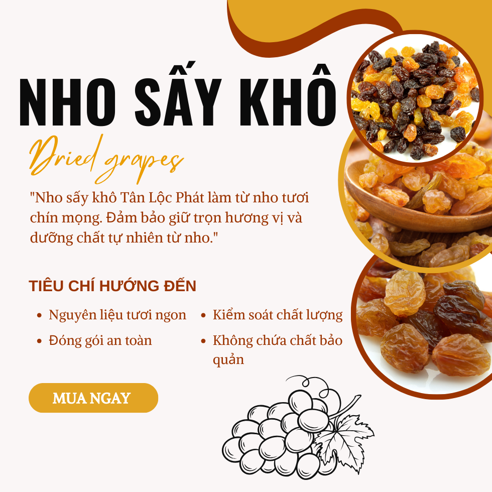 Nho Vàng Sấy Khô Tân Lộc Phát Chua Ngọt Không Đường Hộp Vuông 500g