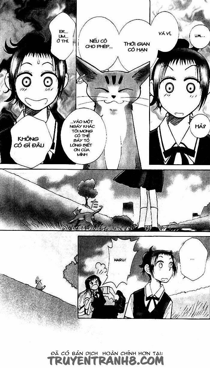 mimi wo sumaseba - lời thì thầm từ trái tim chapter 6 15