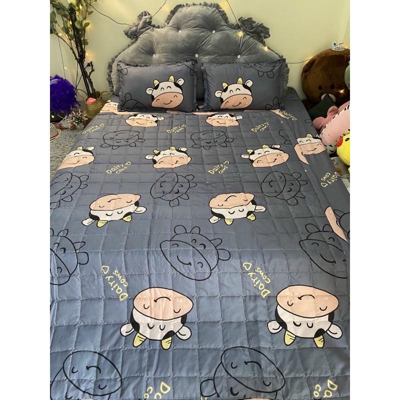 Bộ ga gối cotton poly đủ size , drap trải nệm chun bọc 1m2 1m6 1m8.