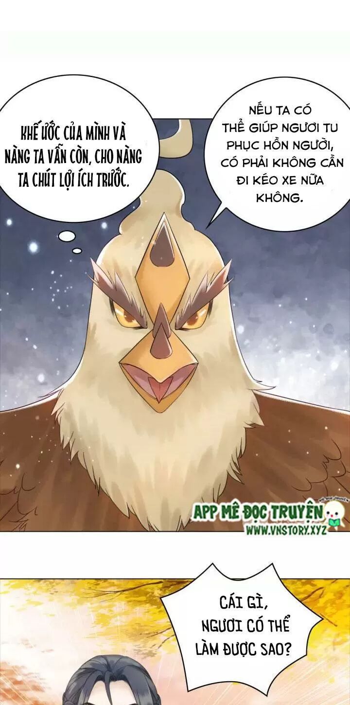 cực phẩm phế vật tiểu thư chapter 109 26