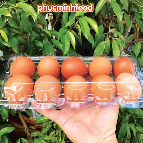 Vỉ trứng gà 10 trứng