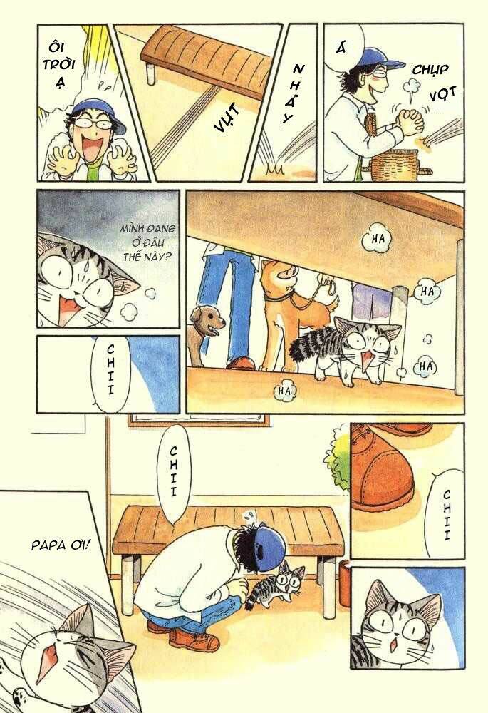 chi's sweet home chapter 15 3