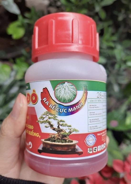 Siêu Lân Đỏ Đậm Đặc - Chai 100Ml Kích Ra Rễ, Bật Chồi Cực Mạnh, Khỏe Cây