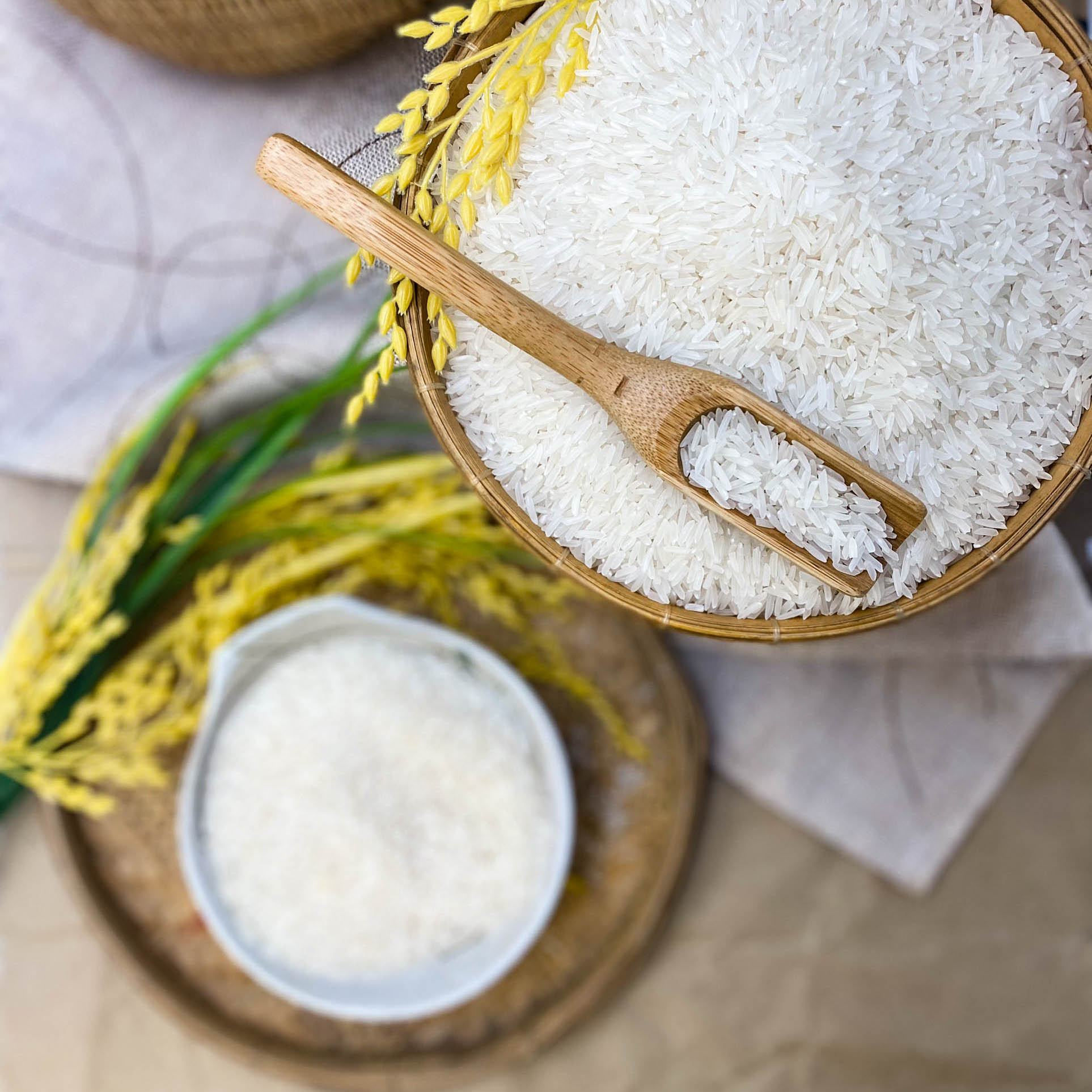Gạo Tam Bảo - Túi 5kg - Dẻo vừa, mềm cơm, thơm lá dứa