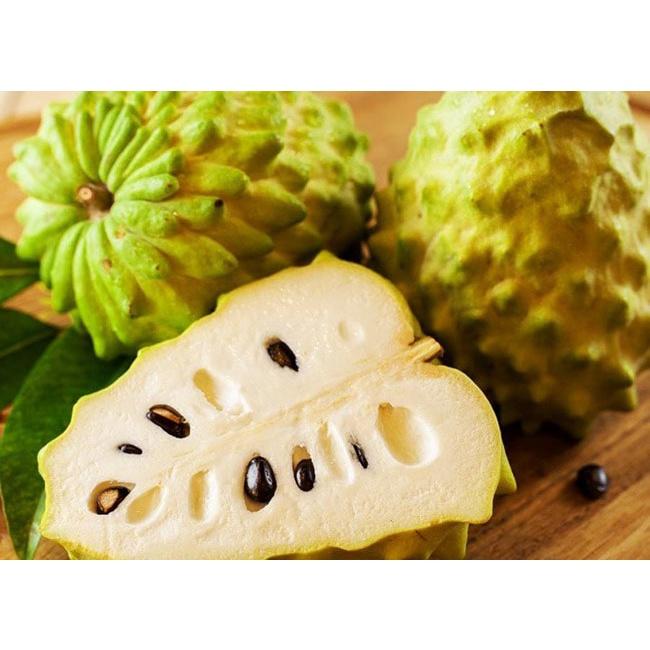 CÂY GIỐNG NA ĐÀI LOAN