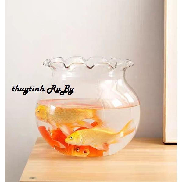 Hồ Bể Cá Mini Thủy Tinh Để Bàn, Chậu Cây Thủy Sinh Bèo B2