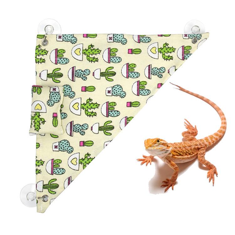 Geckos Lizards Reptile Võng