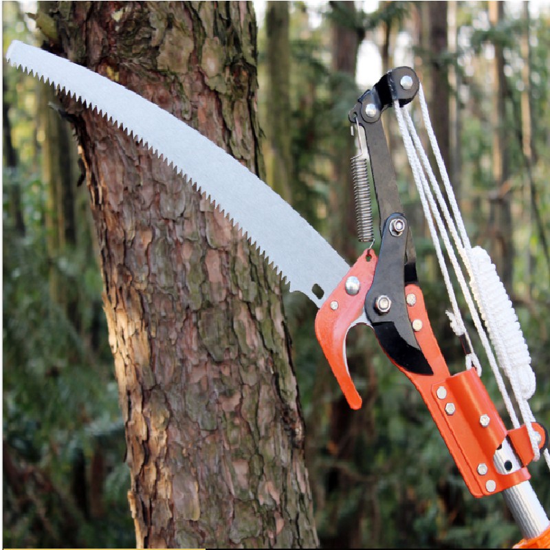 Kéo Cắt Cành Trên Cao - Đầu Kéo Cắt Tỉa Cành