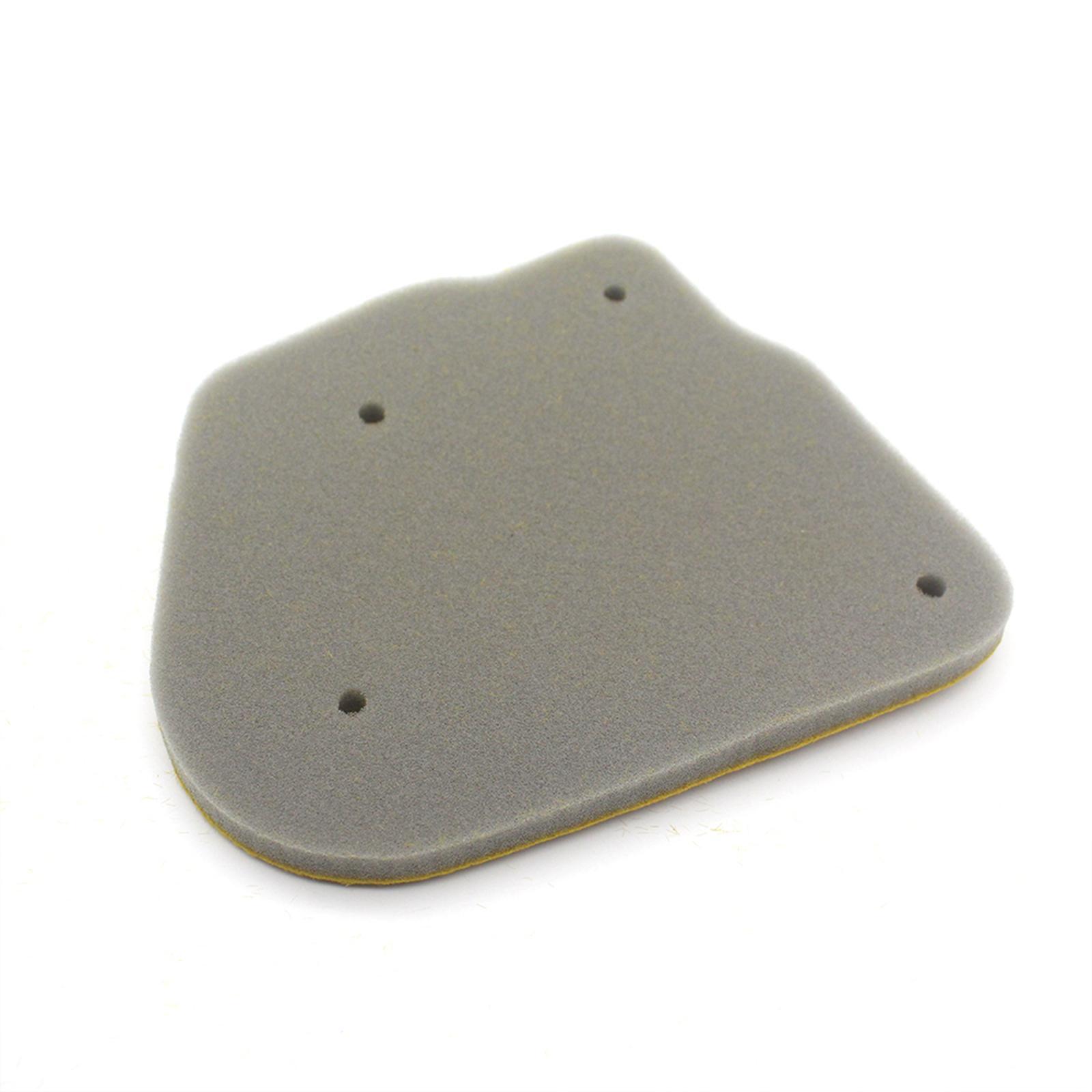 Filter Professional for WY BWS 50 WY50 BWS100