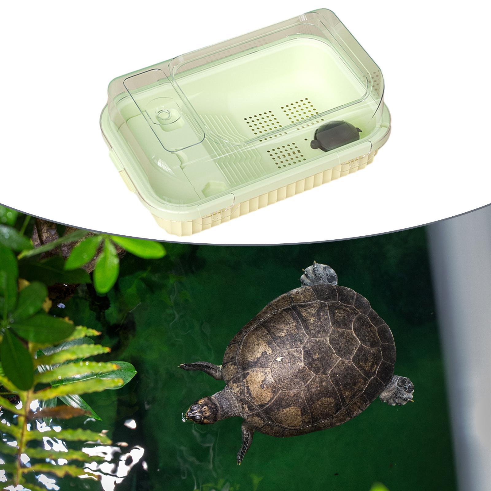 Turtle Tank Aquarium Reptile Tank Tortoises Case Accessories Terrapin Lake Reptile Habitats Turtle Habitat with Lid for Hermit  Terrapin