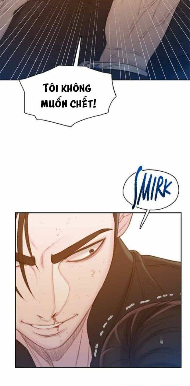 thiền định - samadhi chapter 19 39