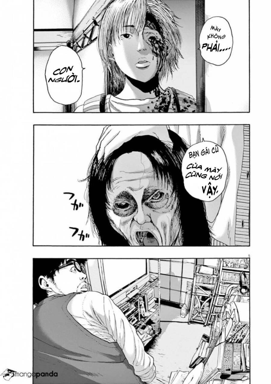 tôi là người hùng chapter 219 6