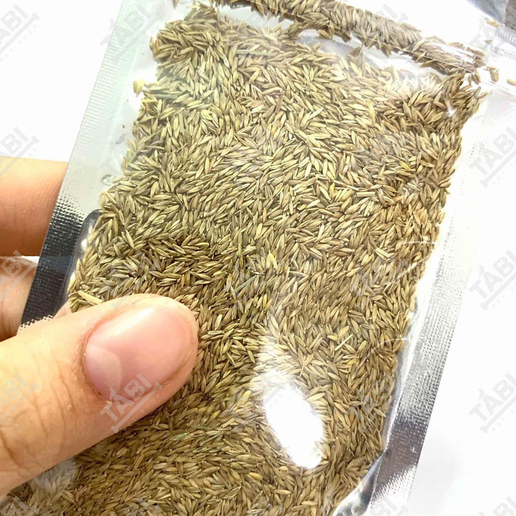 Hạt Giống Thuỷ Sinh - Cây Trồng Thuỷ Sinh